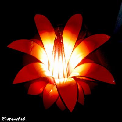 Fleur lumineuse