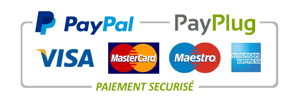 Paypal payplug logo